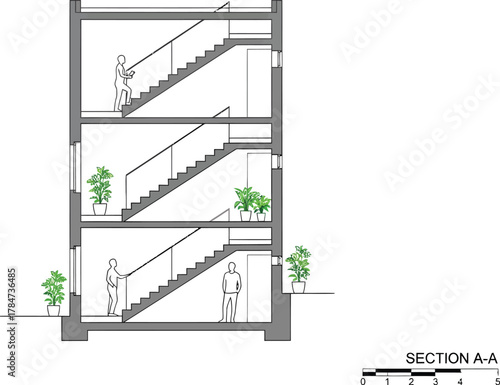 Architectural cross section drawing of a modern multi story building with internal staircases and green plants