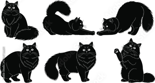 Black cat silhouette vector set, expressive feline poses, sitting, stretching, crouching, waving, standing positions, fluffy tail design, isolated on white