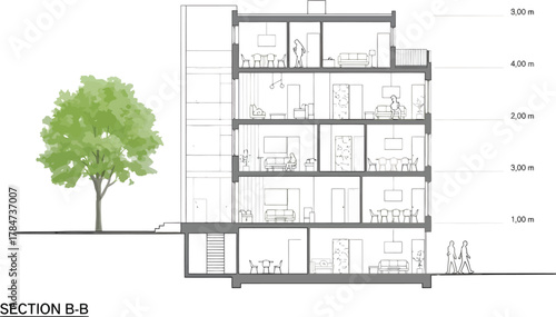 Architectural section drawing of a modern multi story building with a tree and ground line detail