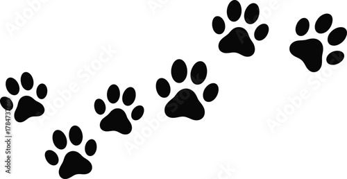 Diagonal animal paw print vector, black footprints trail, cartoon style design, pet and wildlife theme, isolated on white background, motion concept