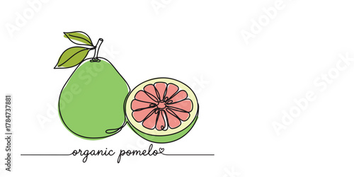 Minimalist line art of an organic pomelo with one whole fruit and one sliced open to show its juicy pink segments. Clean, colorful, organic product packaging, fruit icons, healthy lifestyle content