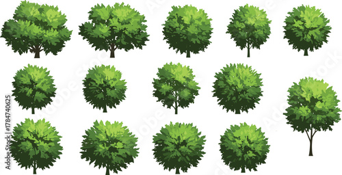 Collection of green tree illustrations, forest vegetation set, natural landscape design element, foliage plant clipart, CAD drawing flat vector illustration.