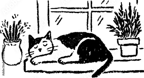 Cat drawing in black and white near potted plants by a window. Simple hand-traced vector illustration showcasing a cozy indoor set.