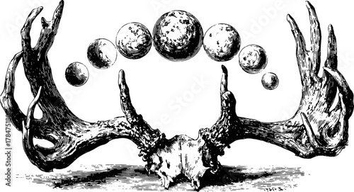 Antlers and skull set with moons in a vintage black and white illustration. Detailed vector art showcasing a mystical nature concept.