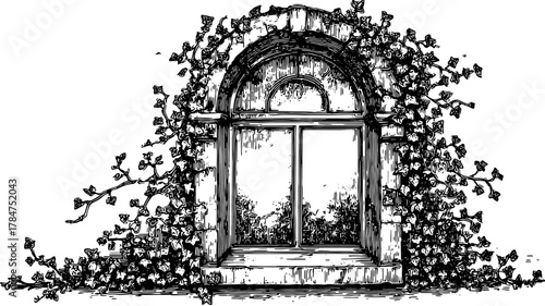 Vintage window engraving with ivy plants. Detailed line drawing in black and white vector illustration.