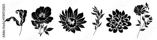 Set of black floral silhouettes featuring flowers, leaves, and botanical stems. Minimalist vector design with bold shapes, perfect for patterns, crafts, decor, and nature-themed projects