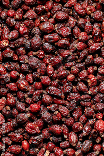 Rosehip Berries Close-Up Macro Shot