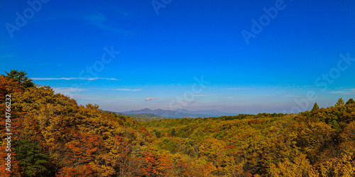 Panoramic view of autumn forest with vibrant blue sky and distant mountains