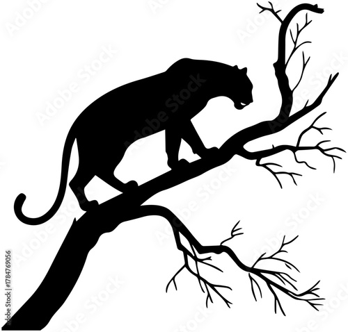 Silhouette of Panther Walking on Tree Branch – Vector Illustration