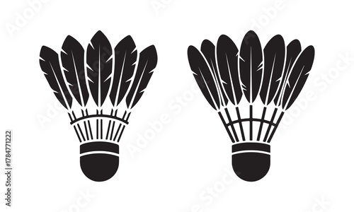 Two badminton shuttlecock isolated on white background for sport equipment