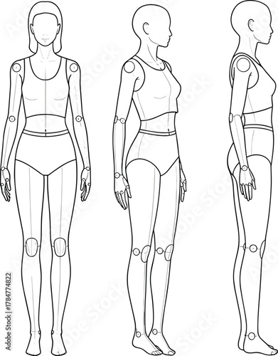 Female body figure mannequin front side and profile view, anatomy reference for artists, fashion sketch template, vector outline illustration.