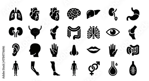 Collection of black silhouette icons depicting various human body parts and organs on a white background