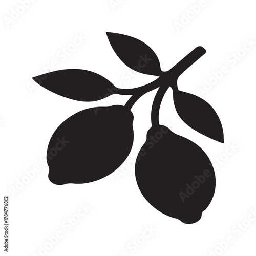 Simple black silhouette of a lemon branch with two ripe fruits and several leaves on a transparent background representing nature and freshness