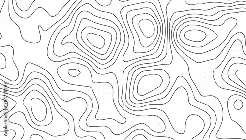 Topographic Contour Map Background. Abstract Vector Wave Grid With Mountain Relief. This Title Retains The Essential Keywords (Topographic, Vector, Contour, Map, Wave, Mountain) Abstract topographic.