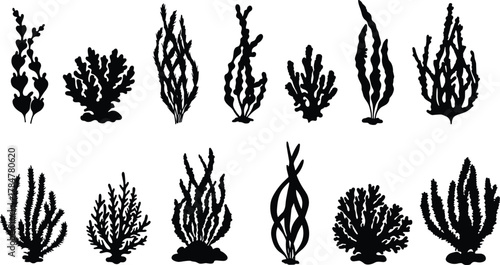 Seaweed silhouette vector set, underwater plants icons, marine flora shapes, ocean clipart, aquatic vegetation collection, cad drawing flat vector illustration