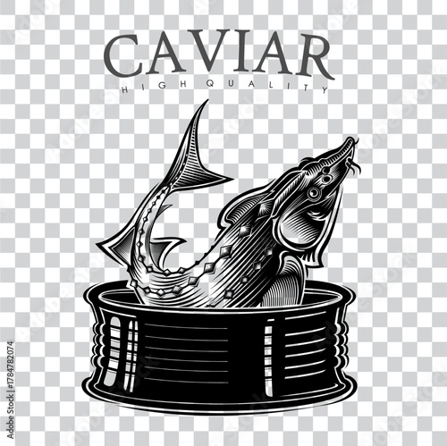 Sturgeon in open tin vintage illustration. Monochrome vector Caviar logo or label on transparent background
