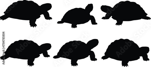 Tortoise silhouette vector set, black turtle icons, reptile animal poses, wildlife clipart, pet tortoise shapes, editable flat illustration