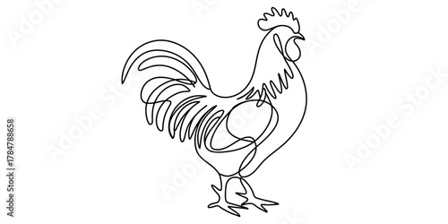Continuous line drawing of a rooster standing. minimalist single line art illustration of a farm bird in profile on a clean background.