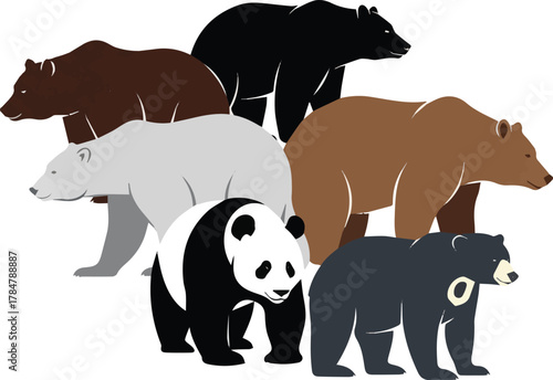  kinds of different bears color vector art silhoueette with white background