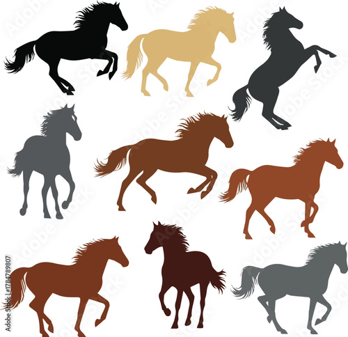 kinds of different horses color vector art silhoueette with white background