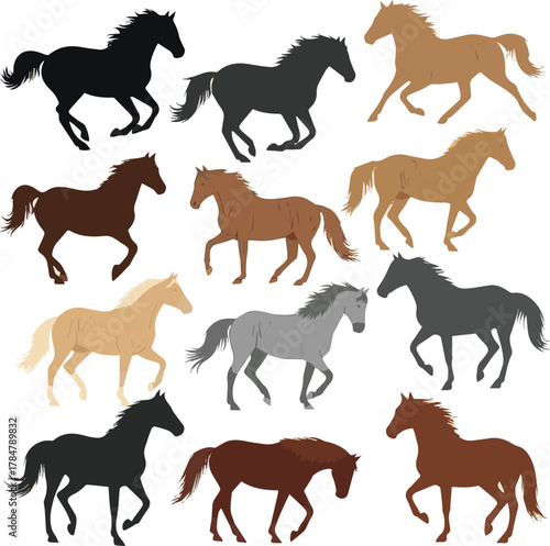  kinds of different horses color vector art silhoueette with white background