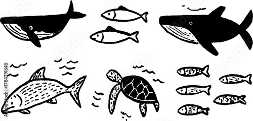 Whale, fish, and turtle silhouettes in hand-drawn style. Black outline vector illustration set depicting marine life and ocean themes.