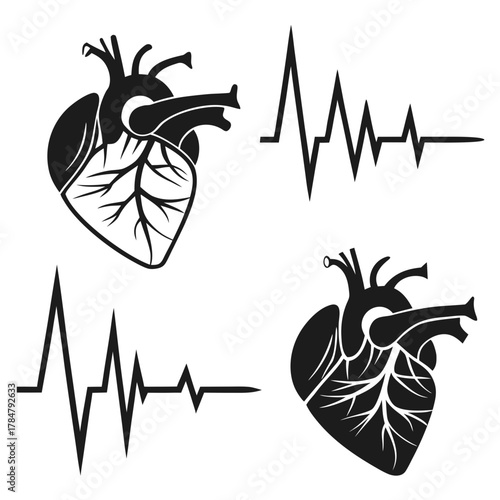 Anatomical heart and ekg line icons representing life and health