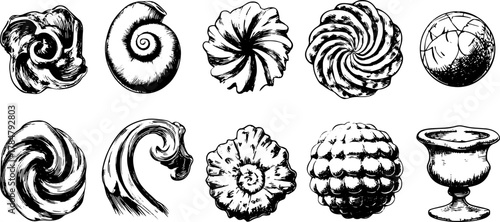 Set of detailed shell sculptures in black and white. Realistic vector illustration showcasing various shapes and designs.