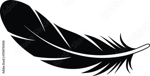 Black feather illustration on white background single plume design art