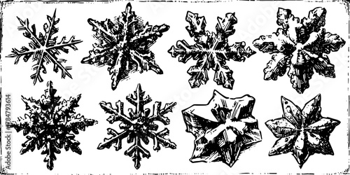 Snowflake illustration in vintage style. Decorative black outline set showcasing unique winter designs in vector art.