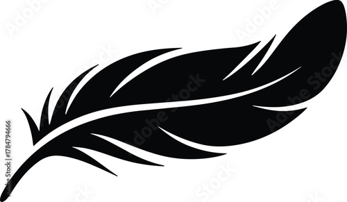 Elegant black feather vector illustration avian plumage graphic element isolated