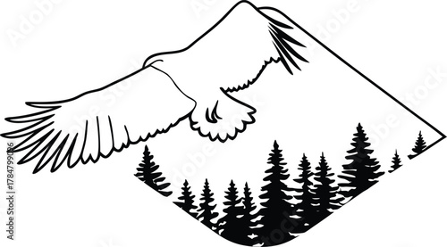 vector illustration of a bird