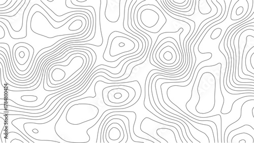 Topographic Contour Map Background. Abstract Vector Wave Grid With Mountain Relief. This Title Retains The Essential Keywords (Topographic, Vector, Contour, Map, Wave, Mountain) Abstract topographic.