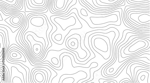 Topographic Contour Map Background. Abstract Vector Wave Grid With Mountain Relief. This Title Retains The Essential Keywords (Topographic, Vector, Contour, Map, Wave, Mountain) Abstract topographic.