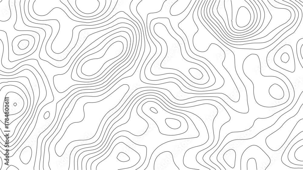 Obraz premium Topographic Contour Map Background. Abstract Vector Wave Grid With Mountain Relief. This Title Retains The Essential Keywords (Topographic, Vector, Contour, Map, Wave, Mountain) Abstract topographic.