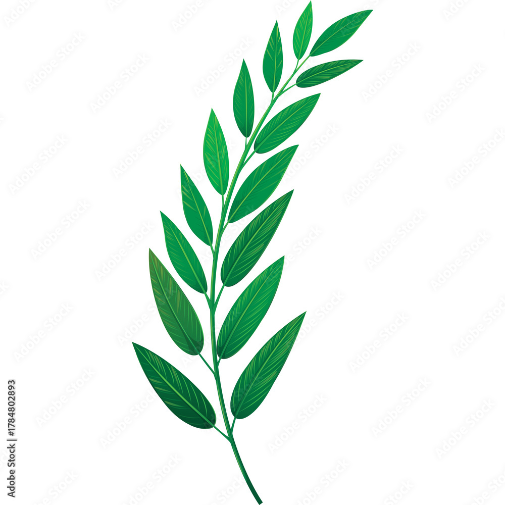 Fototapeta premium A single green leafy branch curves gracefully on a transparent background showcasing intricate vein details and vibrant emerald tones ideal for botanical or decorative use