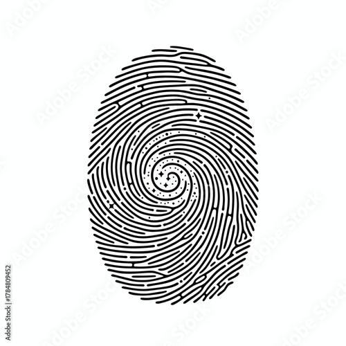 Detailed illustration of a fingerprint with a swirling pattern and star accents on a white background