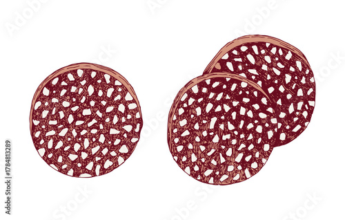 Sliced salami sausage hand drawn vector