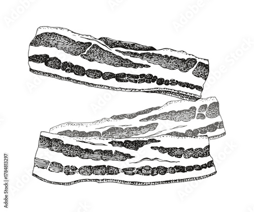 Sliced raw bacon sketched vector