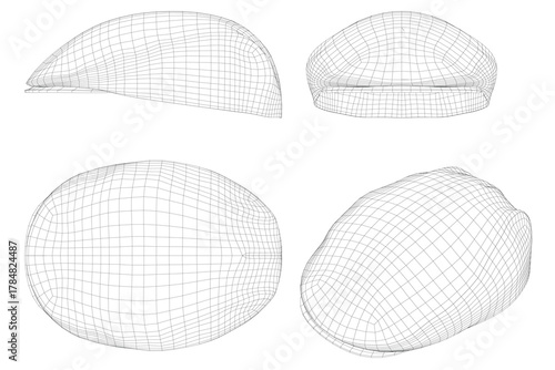 Four leather paddy caps with wireframe designs are arranged symmetrically on a white background. Each unique hat features a glossy finish and realistic 3D effect.