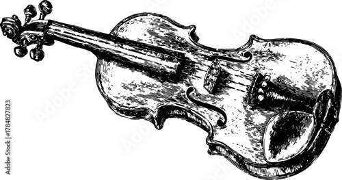 Violin instrument in a classic wood design with elegant details. High-quality vector illustration.