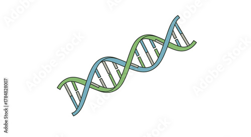 Elegant DNA strand illustration for medical research, genetic engineering, and scientific innovation projects, showcasing the beauty of molecular biology