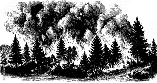 Silhouette of burning trees with smoke in a vintage style. This black line drawing is a nature vector illustration capturing a dramatic scene.