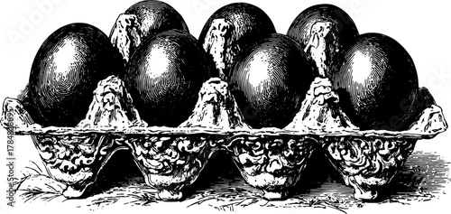 Vintage engraving of a carton holding eggs. This black hand-drawn vector illustration showcases elegance and simplicity in design.