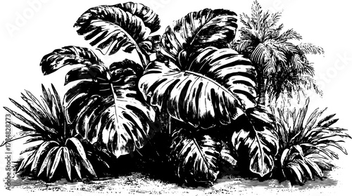 Vintage botanical illustration featuring various plant leaves. Black engraved vector illustration for decorative or layering use.