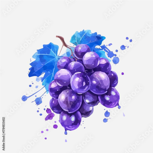 Vector illustration set, eps format, My Watercolor illustration, purple grape Set painting isolated on a white background, EPS painting design