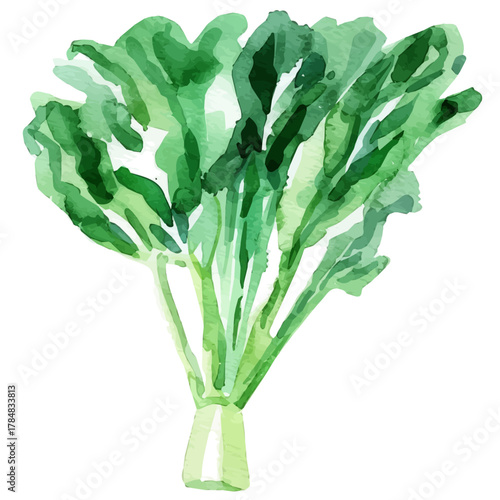 Vector illustration set, eps format, My Watercolor illustration, leek painting isolated on a white background, EPS painting design