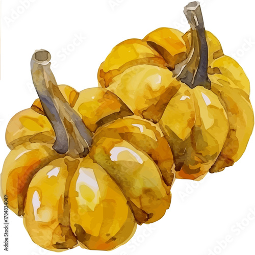 2D design Vector illustration, My Watercolor, hand-painted, simple, sliced pumpkin painting illustration isolated on a white background, EPS format design. vector design