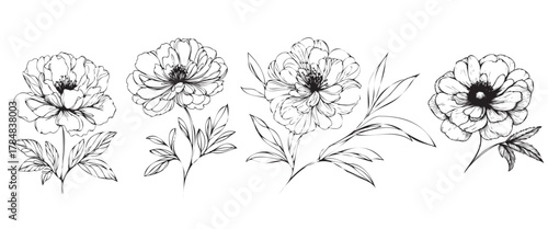 Four black and white flowers are drawn in a row. The flowers are all different sizes and are positioned at various angles. Scene is serene and peaceful, as the flowers are depicted as delicate