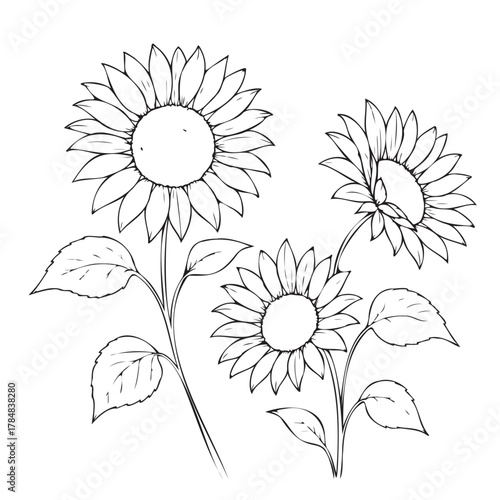 Three sunflowers are drawn in black and white. The flowers are positioned in a way that they are almost touching each other, creating a sense of unity and harmony
